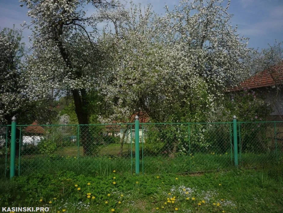 Продаж будинку. Далява. Львівська область-5