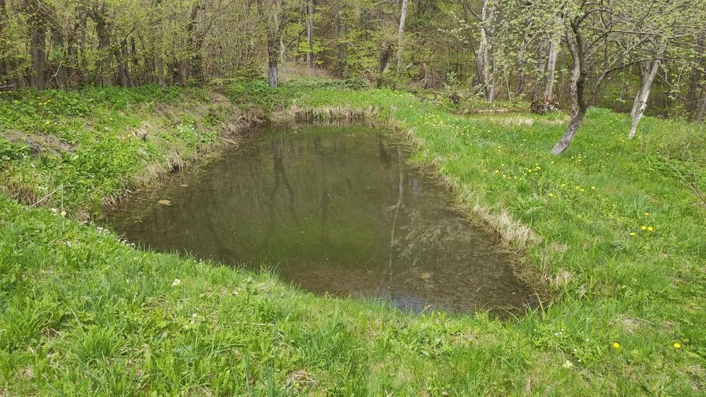 Продаж земельної ділянки. Борислав. Львівська область-2