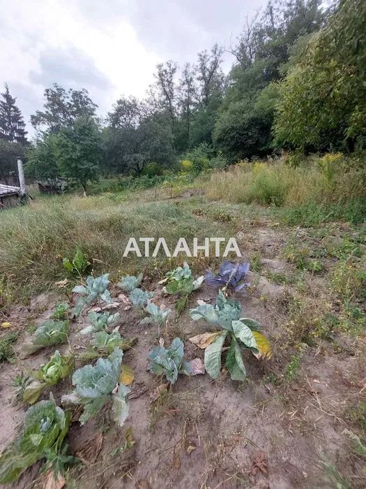 Продаж будинку. Київ. Київська область-5