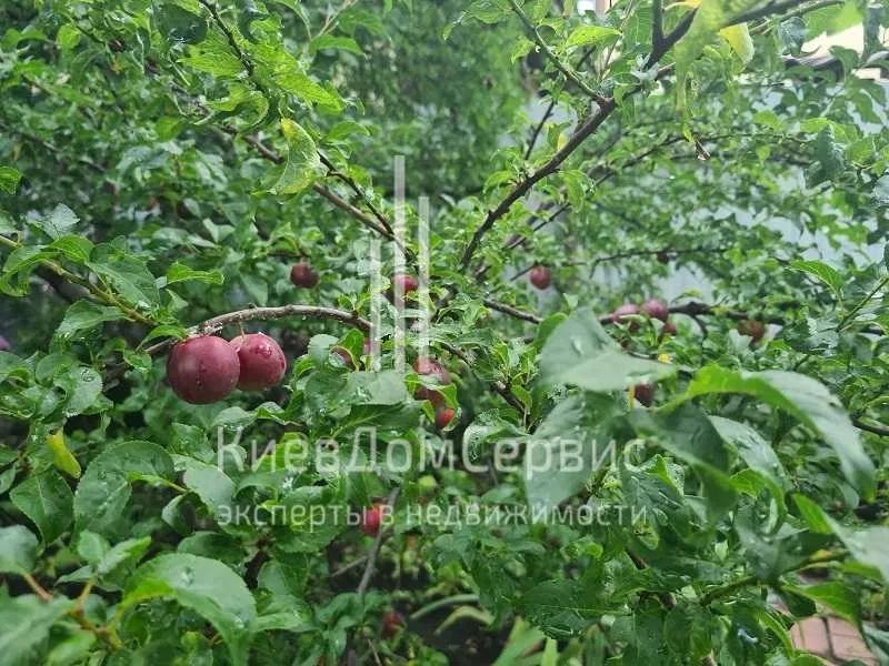 Продаж будинку. Київ. Київська область-19
