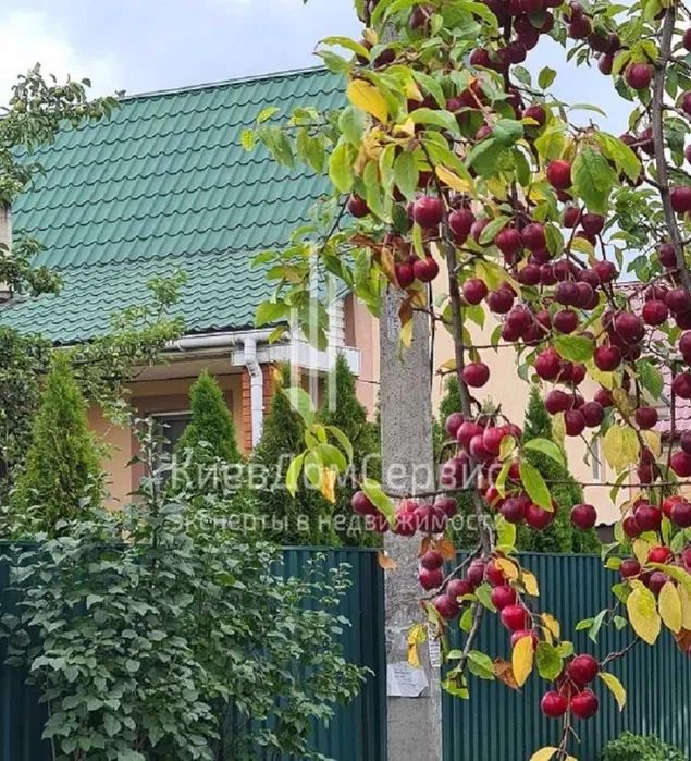 Продаж будинку. Київ. Київська область-23