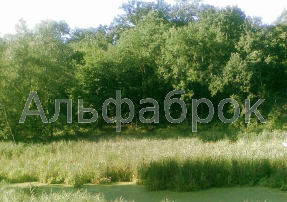 Продаж будинку. Київ. Київська область-4