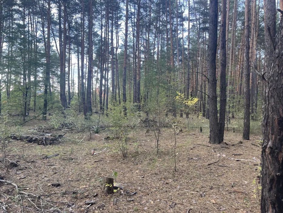 Продаж земельної ділянки. Київ. Львівська область-1