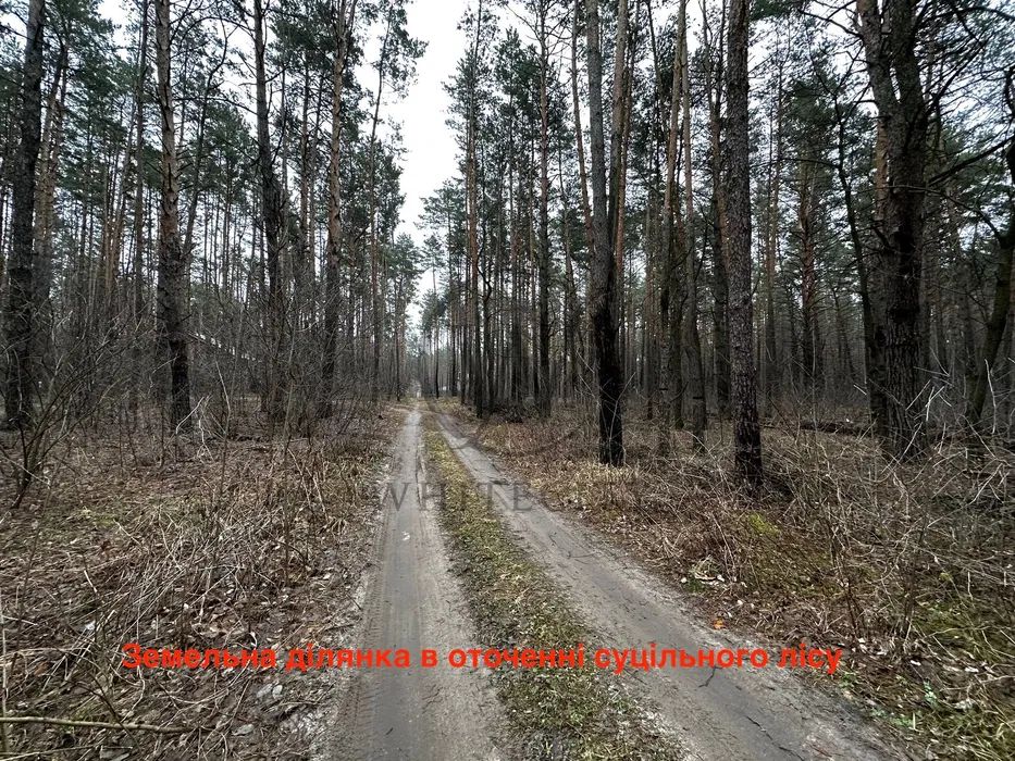 Продаж земельної ділянки. Київ. Львівська область-5