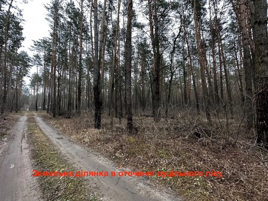 Продаж земельної ділянки. Київ. Львівська область-6