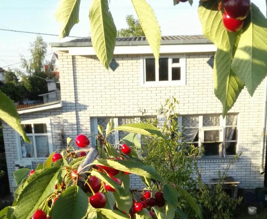 Продаж земельної ділянки. Київ. Київська область-1